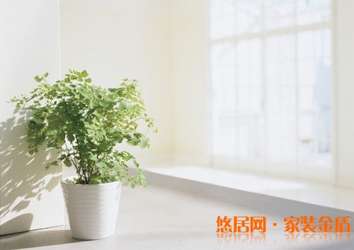 打造健康家居環(huán)境采光要好