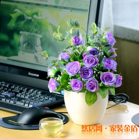 室內(nèi)盆栽選擇有哪些講究？ 